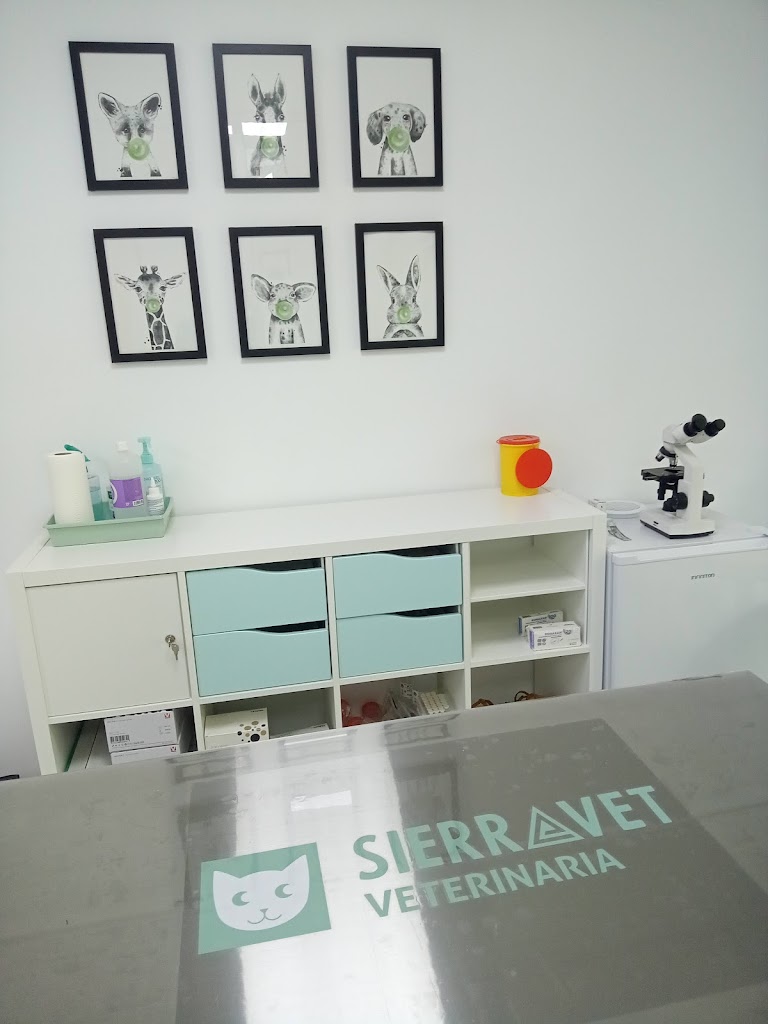 SierraVet — Del propietario