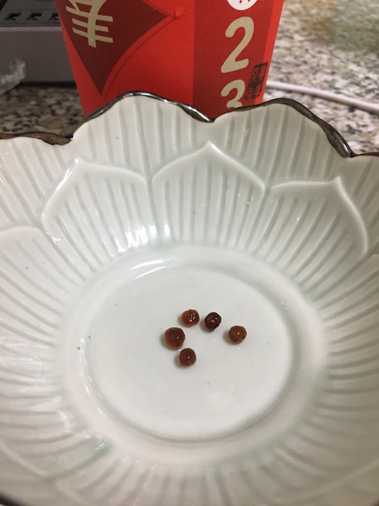 麻古茶坊 - 台南安順店 的照片