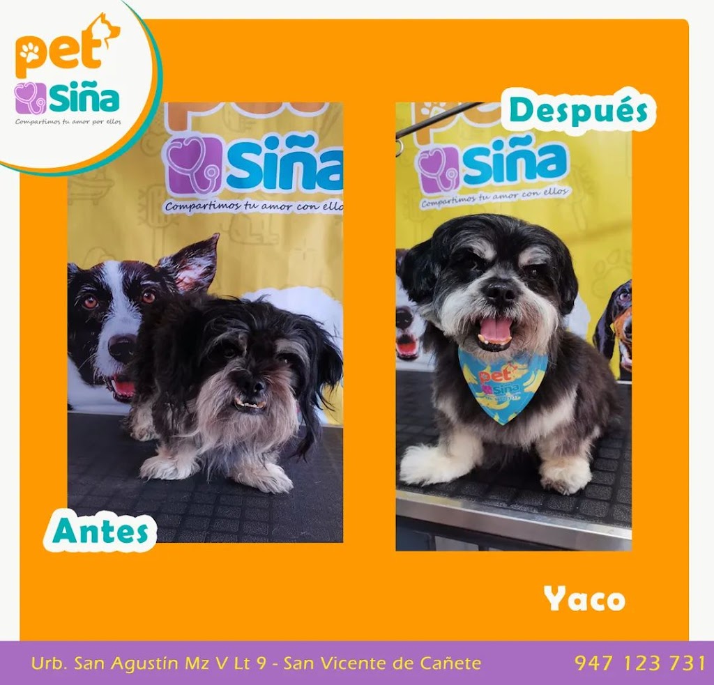 Perro