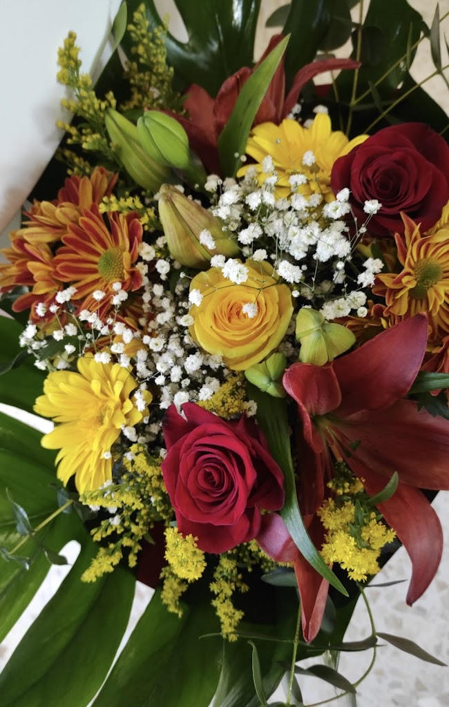 Floristeria Garden Center La Noria S.L. — Rosa