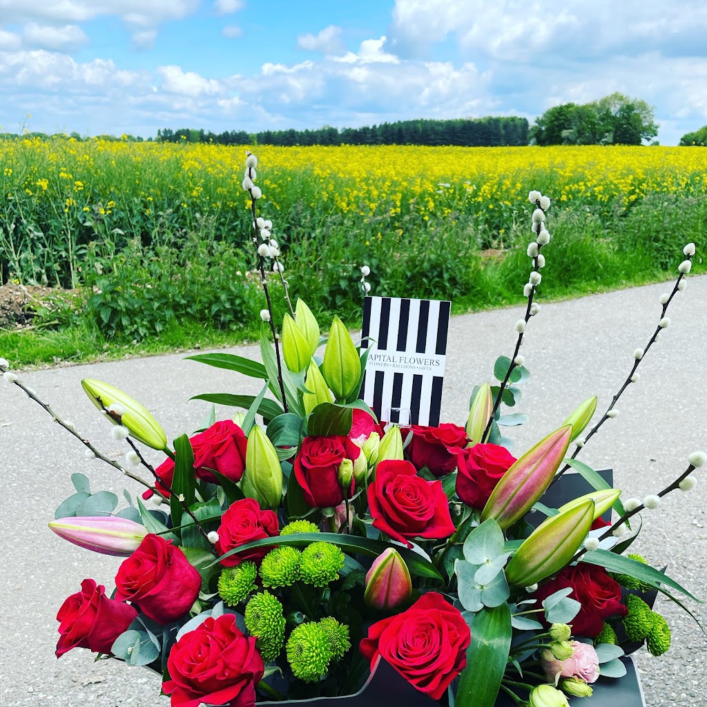 Talking Flowers