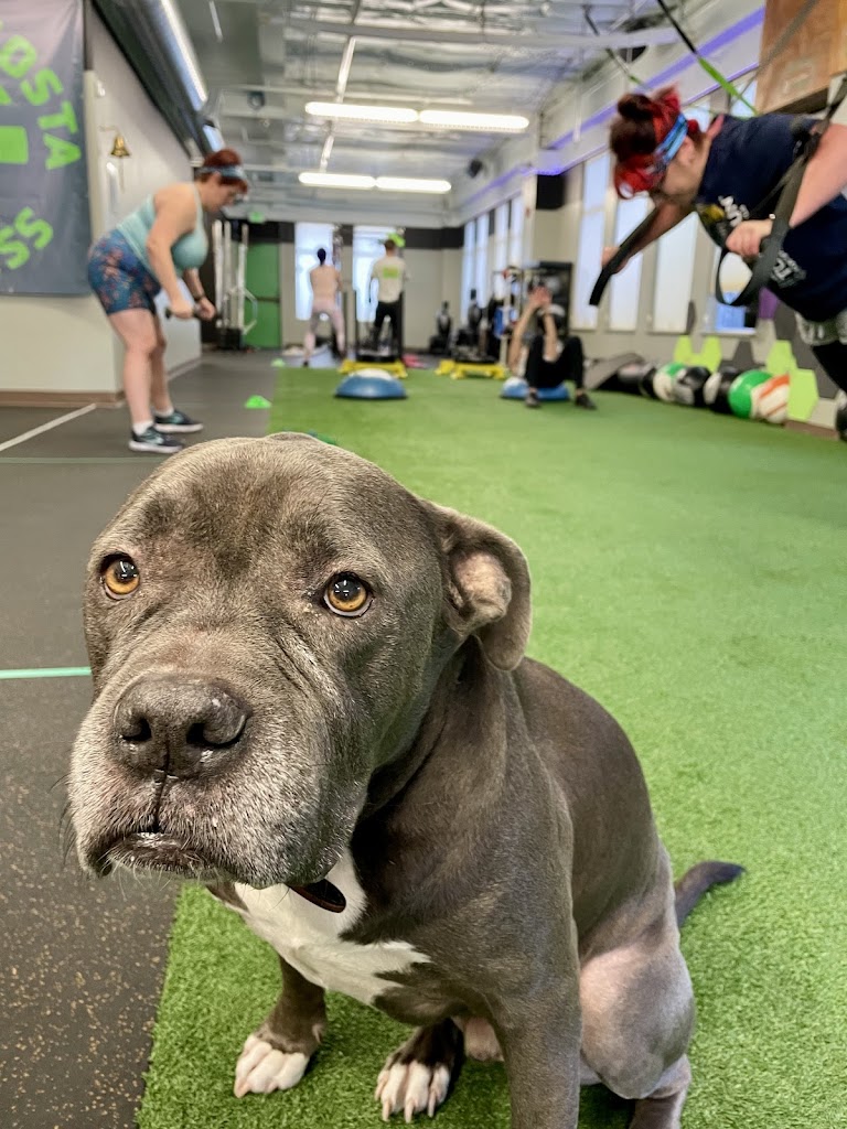  Contra Costa Fitness