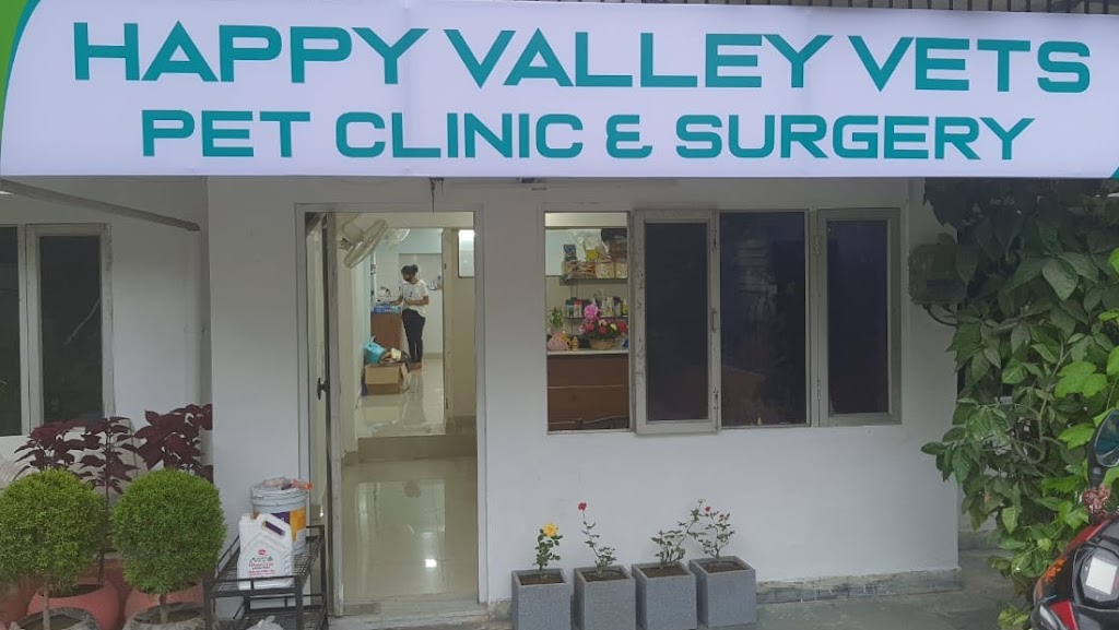Happy Valley Vets Animal Eye Clinic General Pet Clinic And Surgery