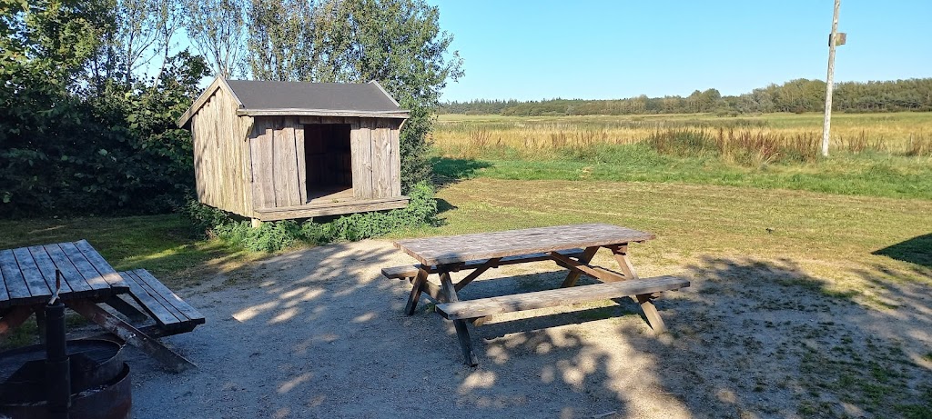 Vilsted So Shelterplads
