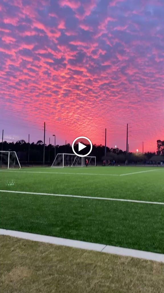  Ground Force Strength and Conditioning Training Systems