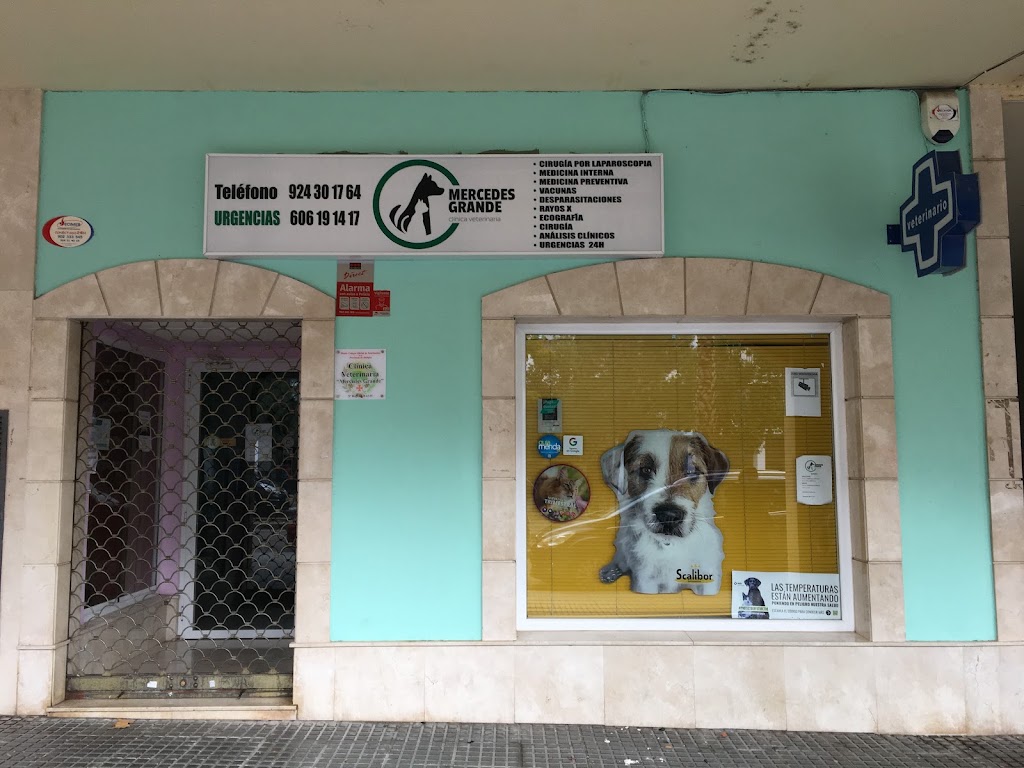 Clinica Veterinaria Mercedes Grande — Del propietario