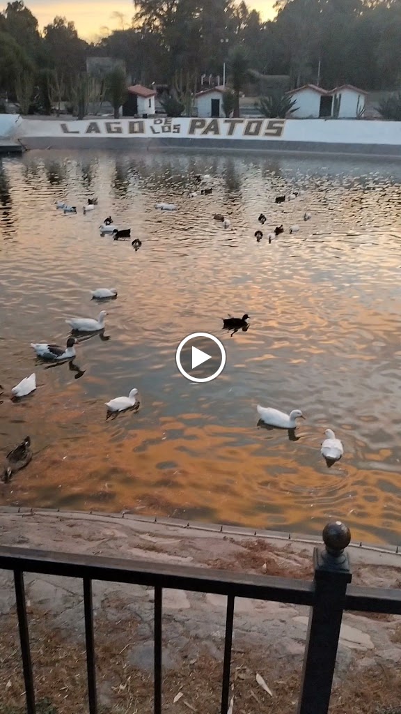 Estacionamiento Publico Parque Guadiana — Videos
