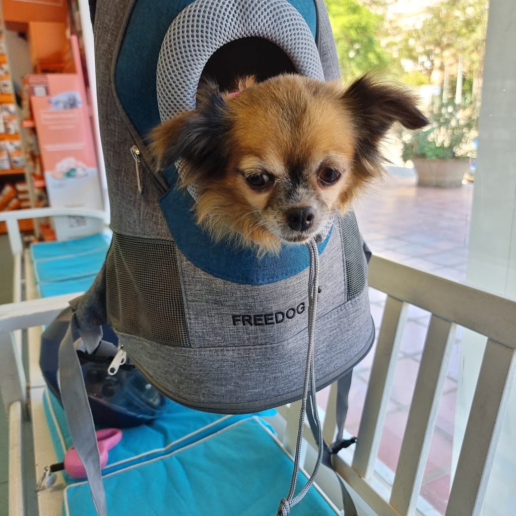 Clinica Veterinaria Animal Trust — Perro