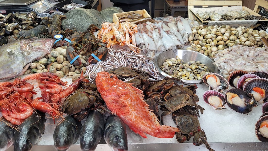 Octopus Pompeu Fabra — Comida y bebida