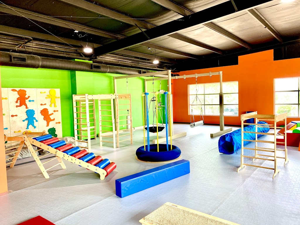 Little Land Pediatric Therapy & Play Gym