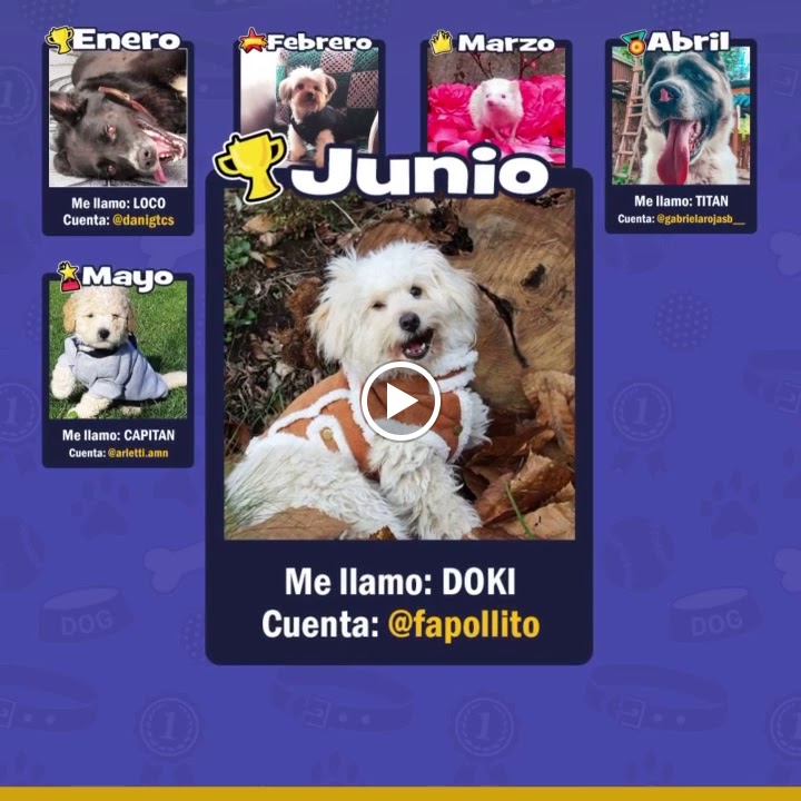 Vídeos