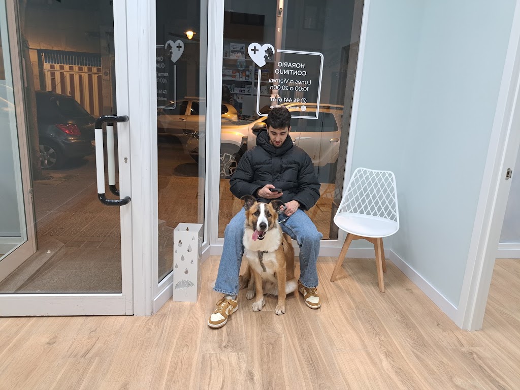 GREEN VET Clinica veterinaria — Del propietario