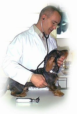 Brindis Clinica Veterinaria