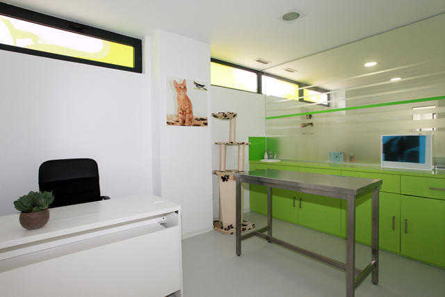 Veterinario en Pamplona | Clinica Veterinaria Nuevo Artica — Del propietario