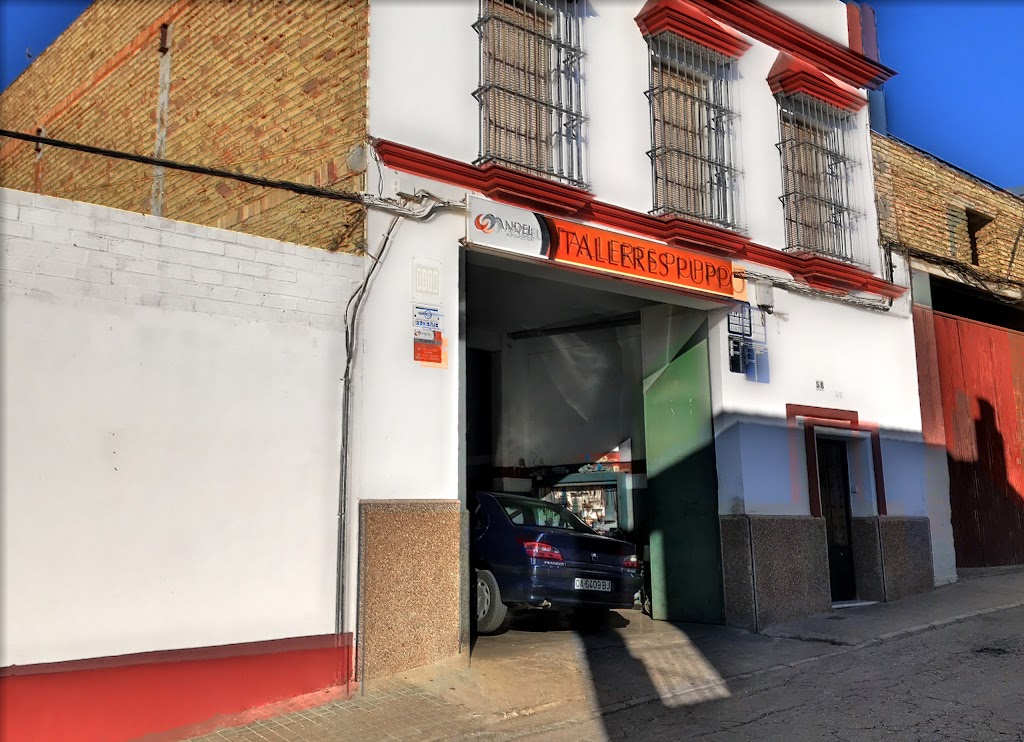 Talleres Puppo SL
