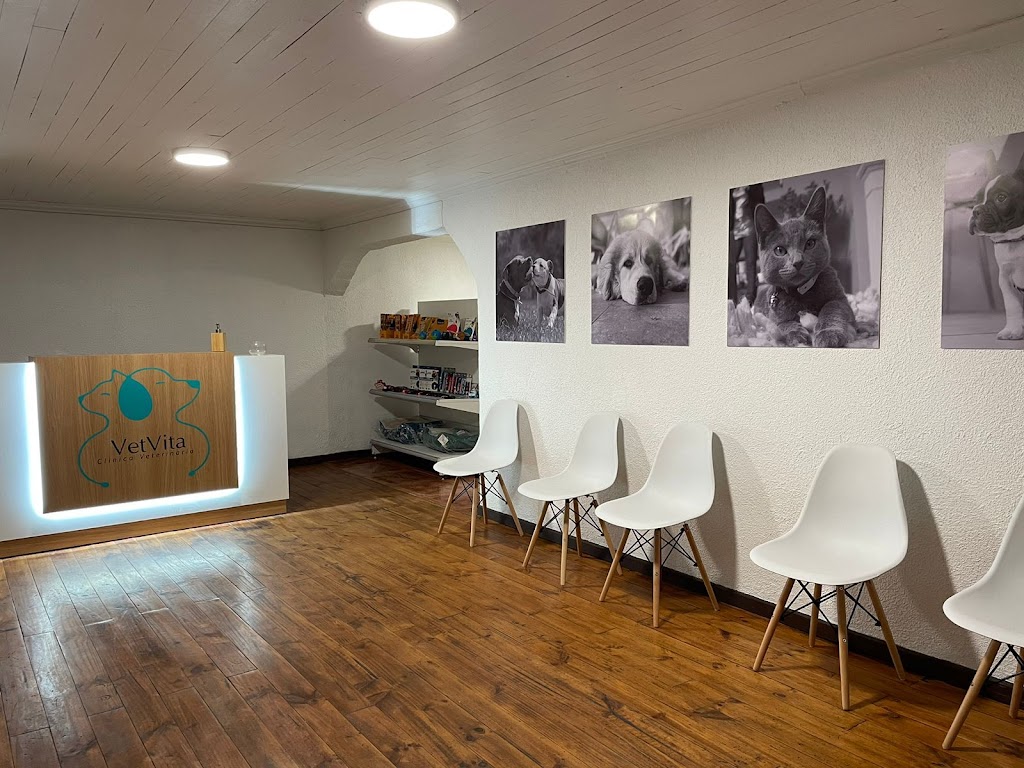 Clinica veterinaria VetVita en Melipilla