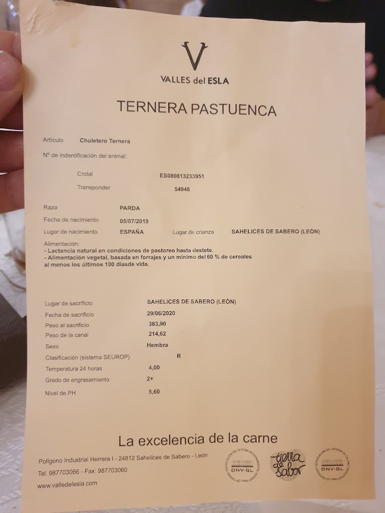 Meson Restaurante Almansa — Carta