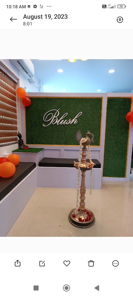 Blush Unisex Salon