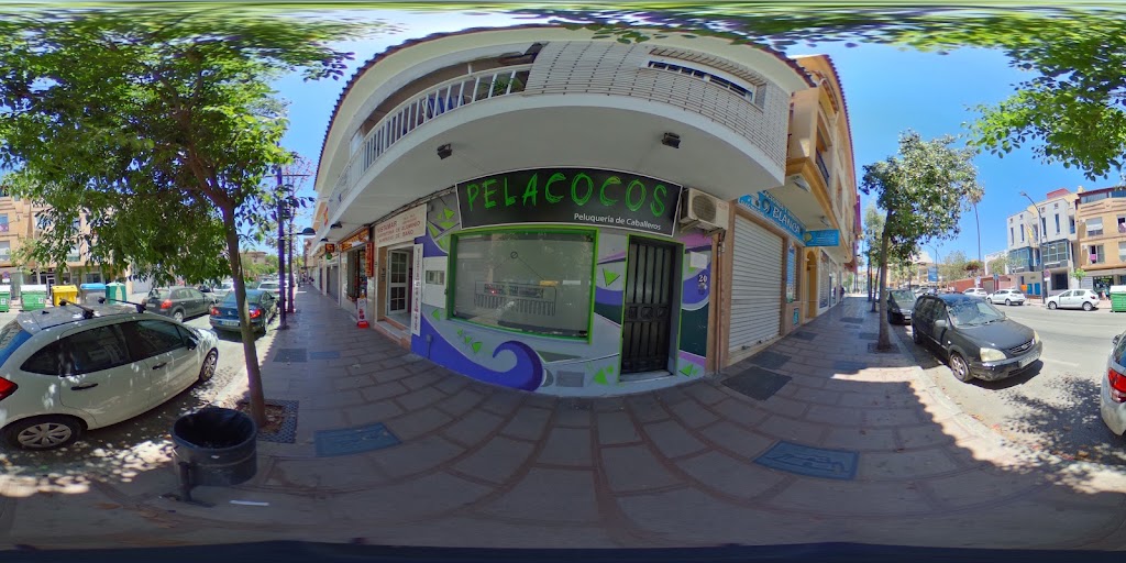 pelacocos — Street View y 360deg
