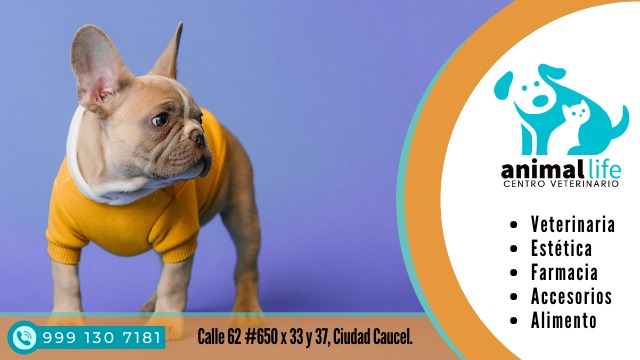 Animal Life Centro Veterinario