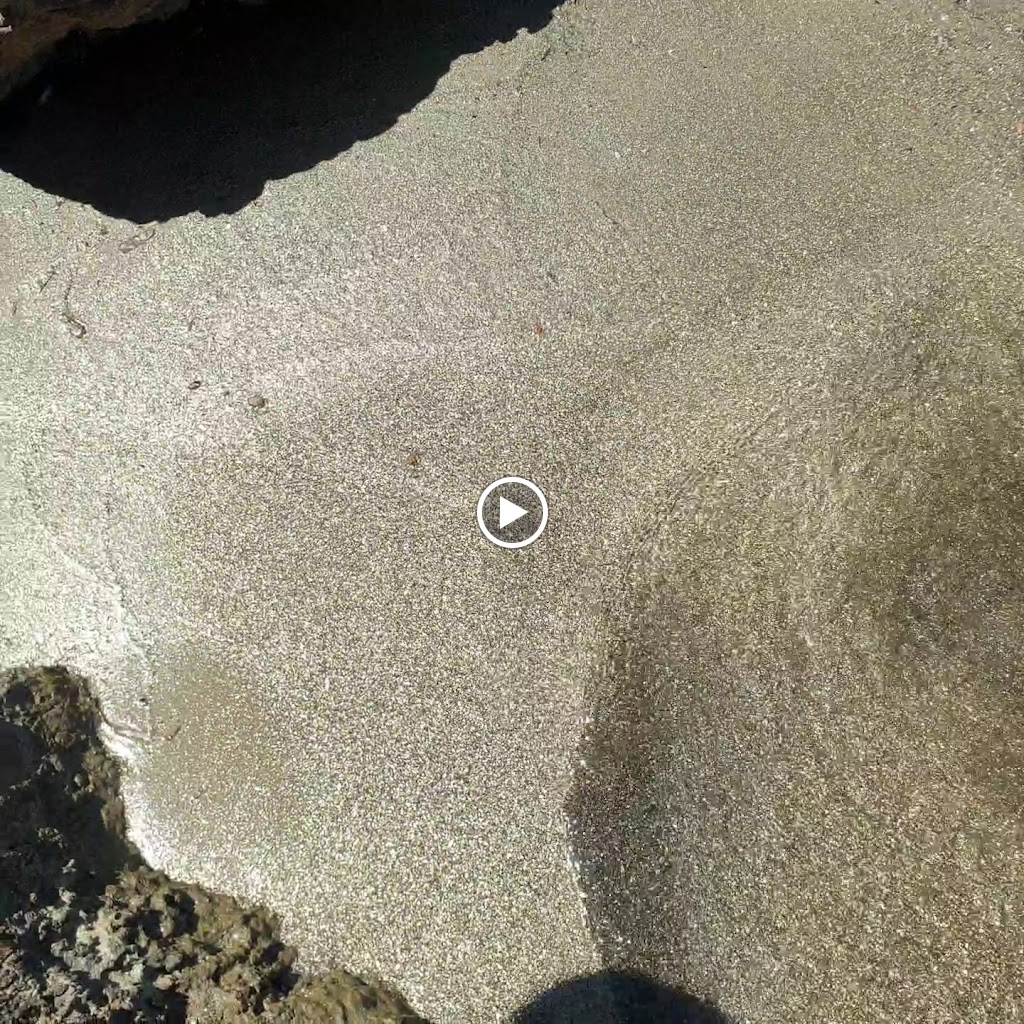 Xiringuito Mesa — Videos
