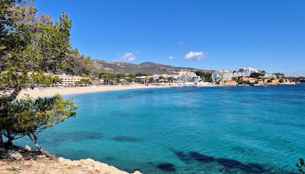 Playa de Palmanova (Es Carregador)