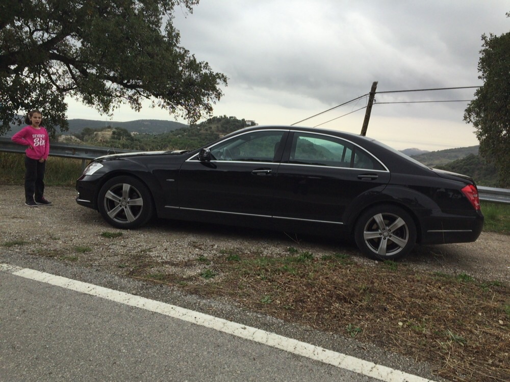 Gaby Cars Marbella — Segmento F