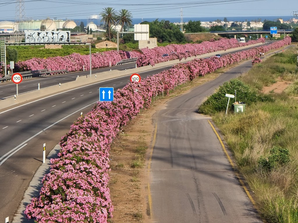 Escuela Infantil Los Angeles