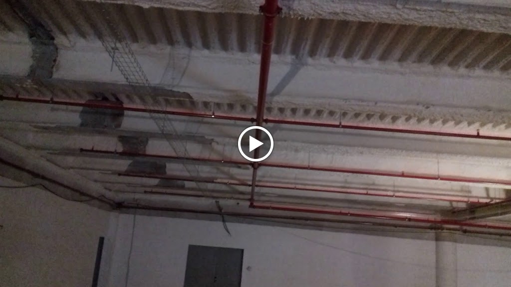 Concessionari Oficial Ford | Romacar — Videos