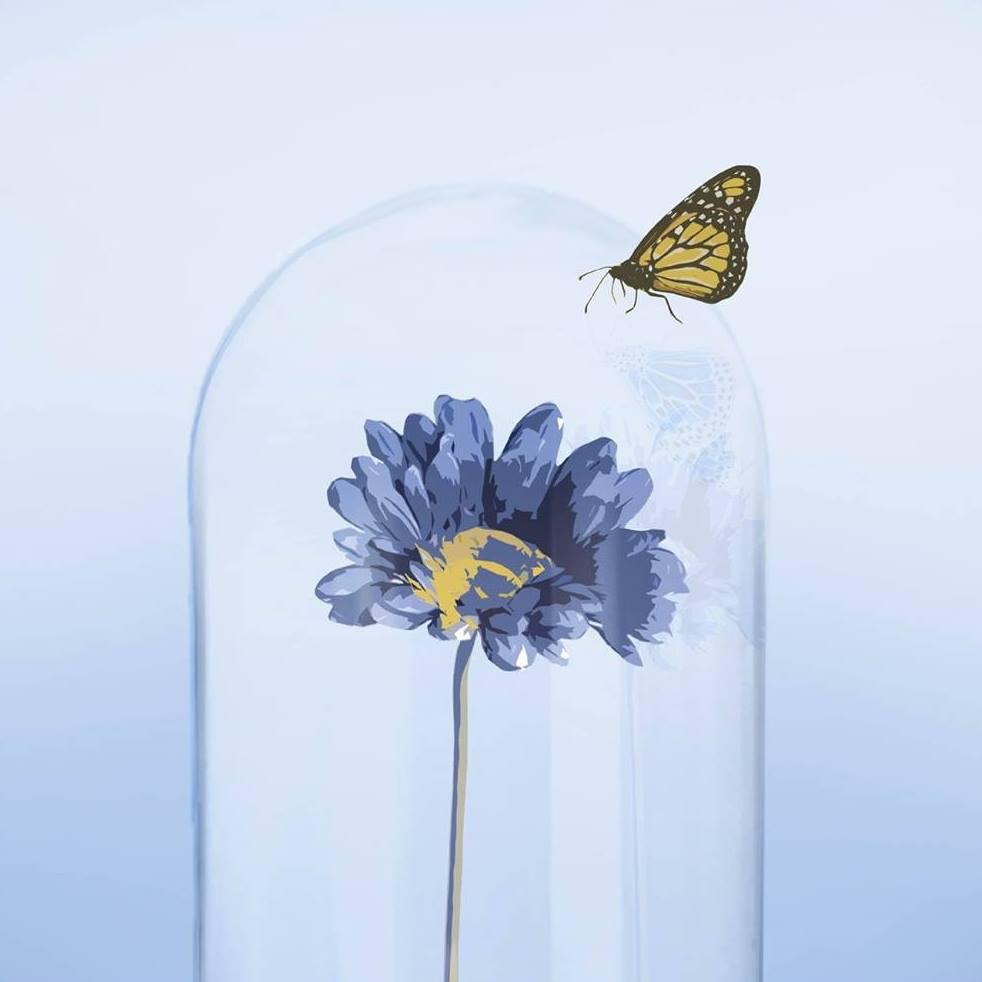 Asoc Padres Ninos Autistas de Don Benito