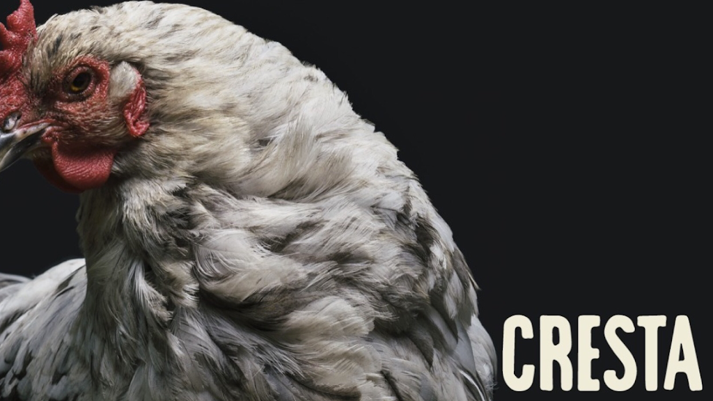 Cresta Rostisseria — Del propietario