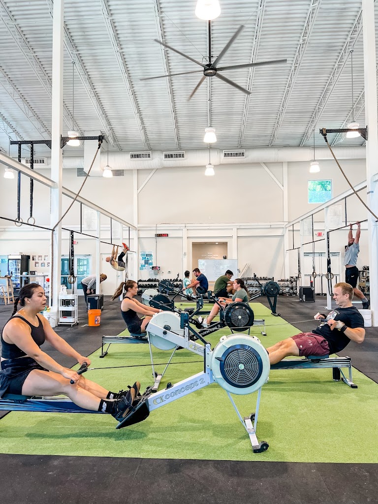  The Tribe | 3F CrossFit