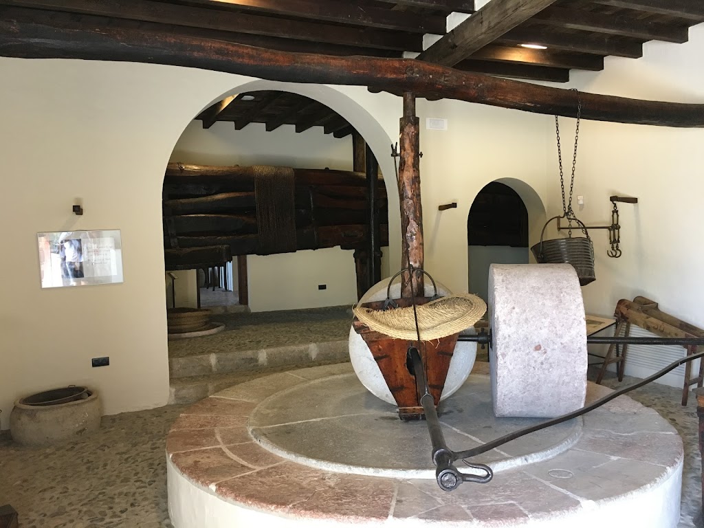 Museo del Aceite - Dcoop
