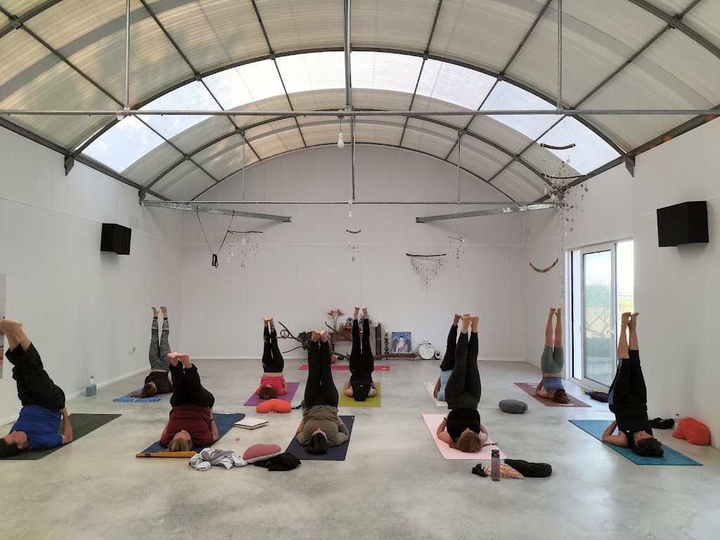 LAXMI YOGA SHALA — Yoga