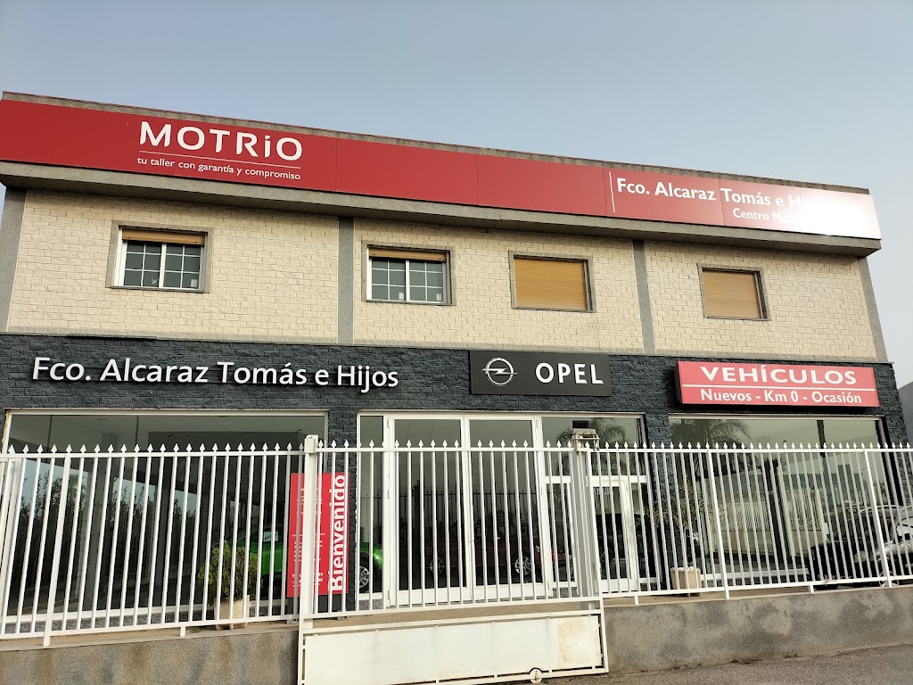 Francisco AlcarazTomas E Hijos S L