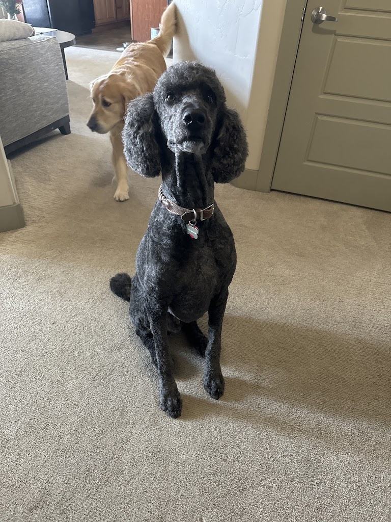 Kibbles & Cuts in South Jordan
