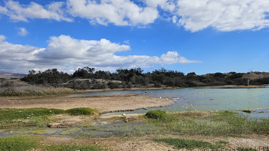 Palmeral de Maspalomas