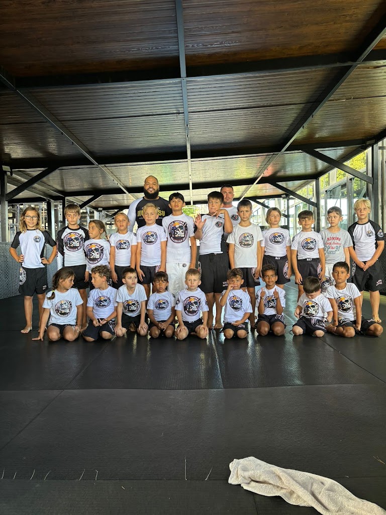 Vinicius Moura Brazilian Jiu Jitsu — Del propietario