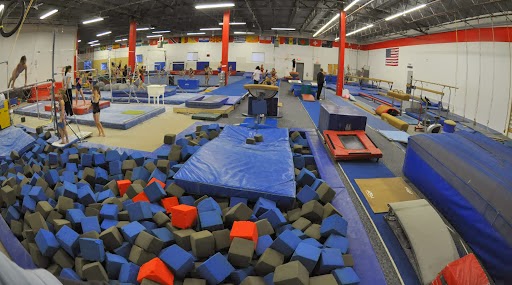  Elite Gymnastics Academy
