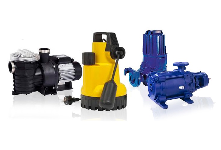 Elva Electrica Vasconia