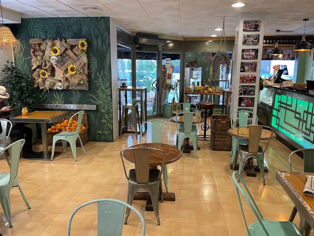 Can Kiwi — Ambiente