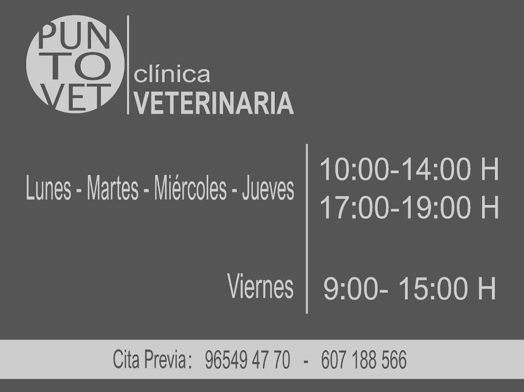 Puntovet Servicios Veterinarios SL — Del propietario