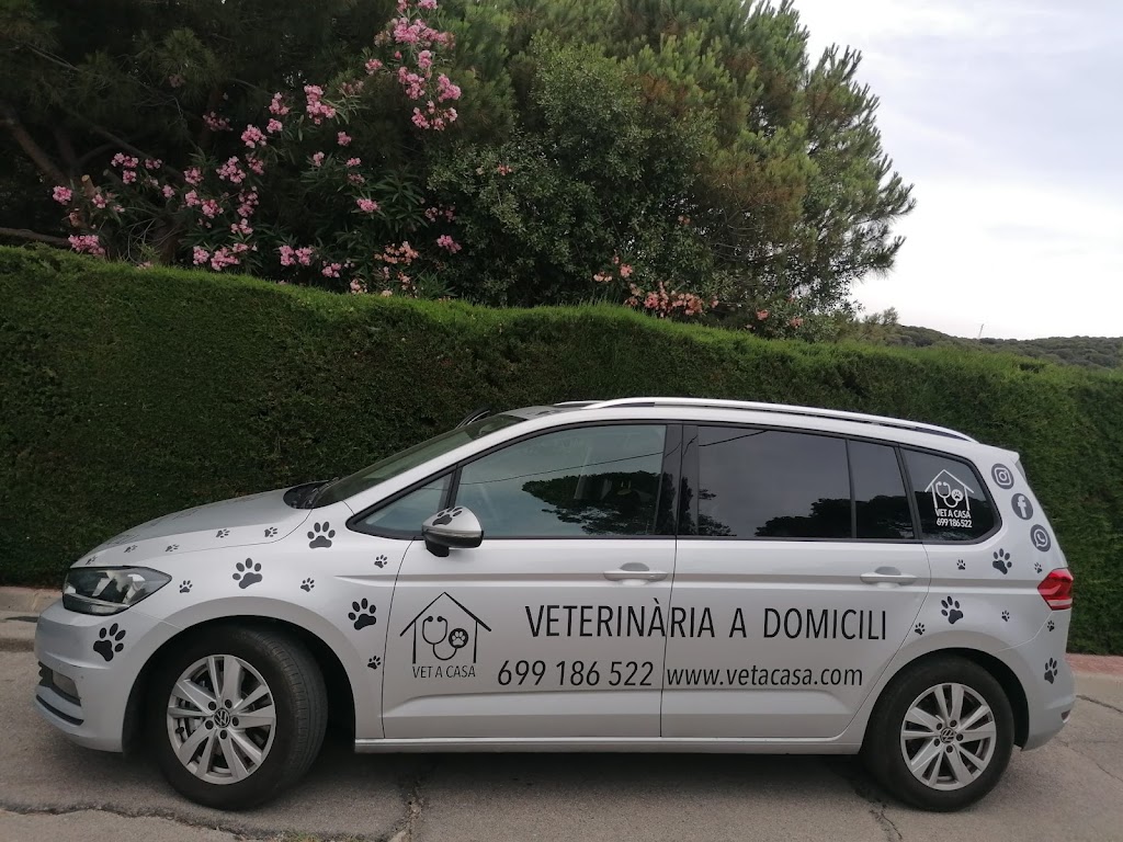 VET A CASA - Veterinaria a domicili — Del propietario