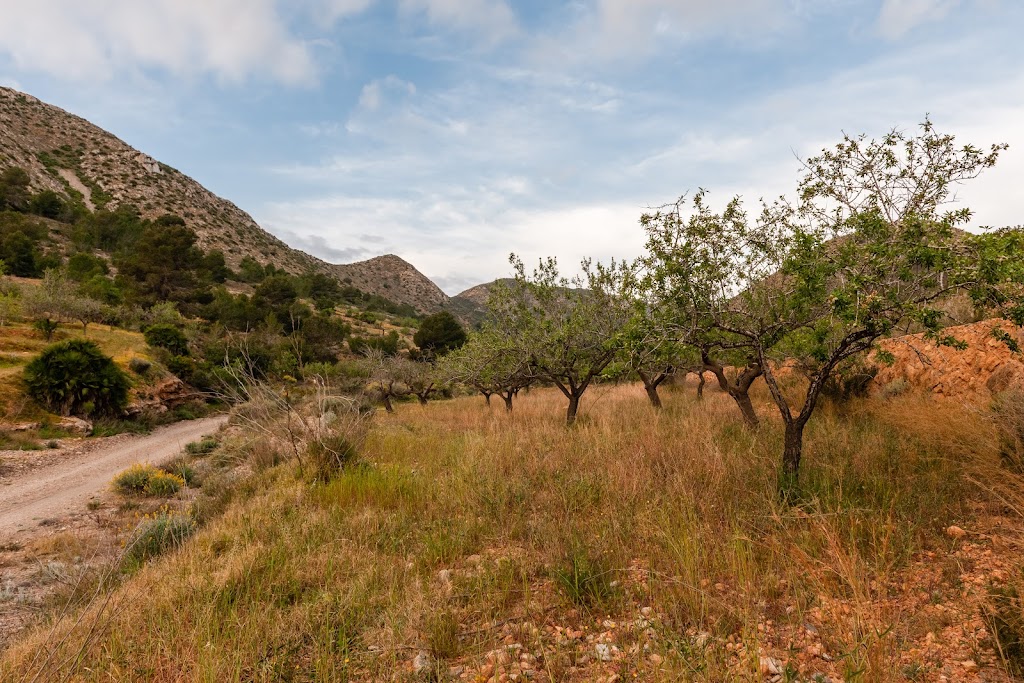 La Senda del Agua