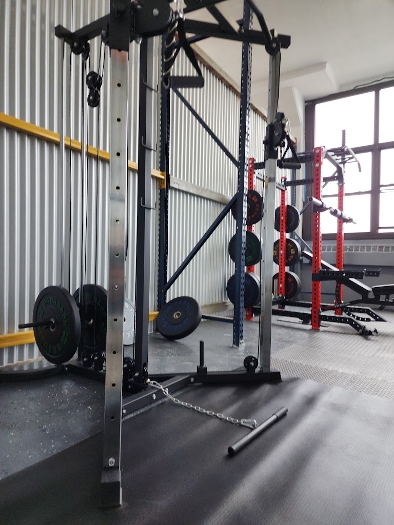  DMG SHAPE- Health and Fitness