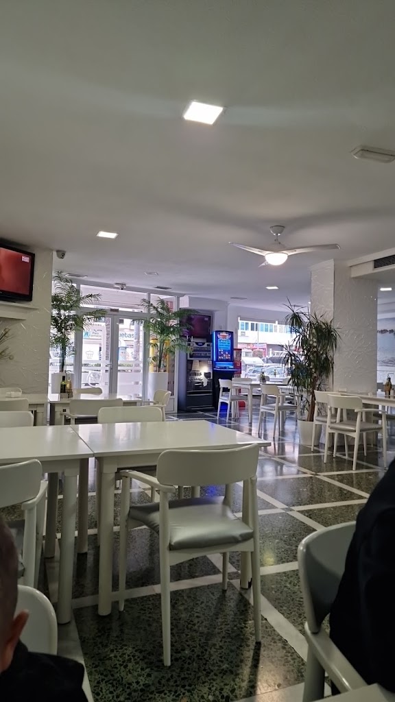 Bar LIVIA — Ambiente