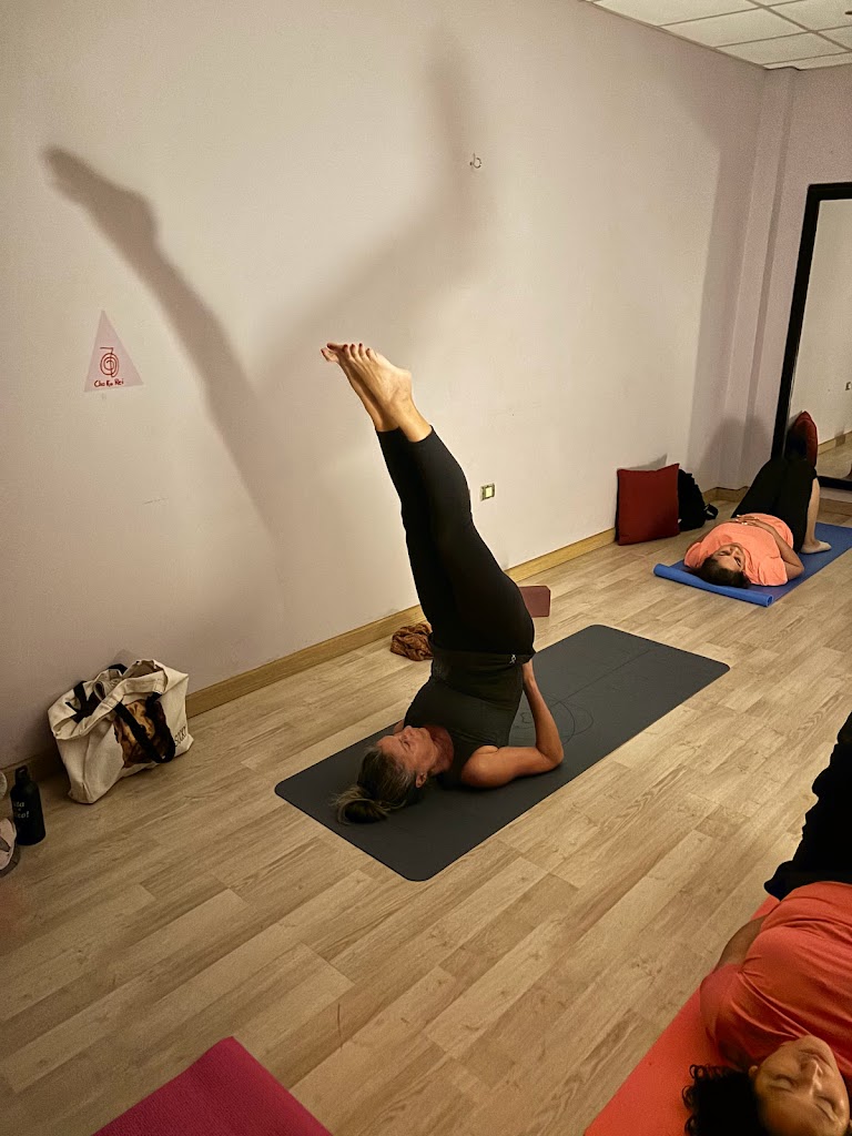 Terapias Holisticas Alineate con Alina