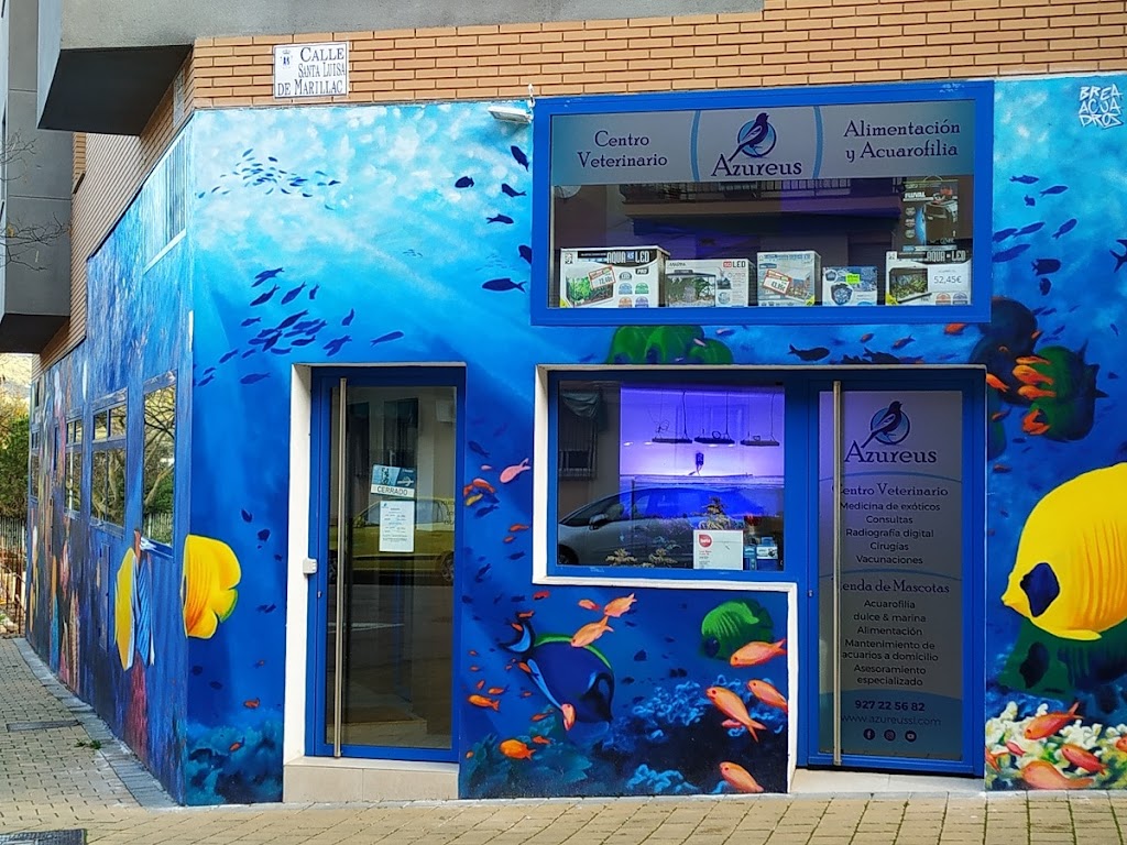 Azureus: clinica veterinaria y tienda de mascotas