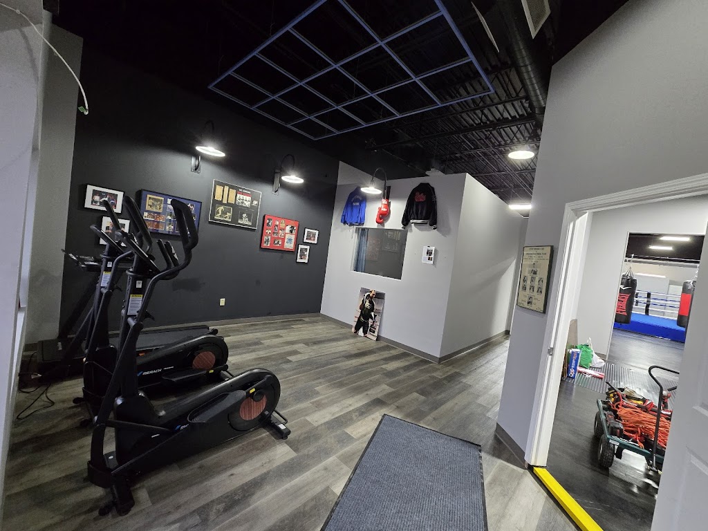  BVL Boxing Solutions