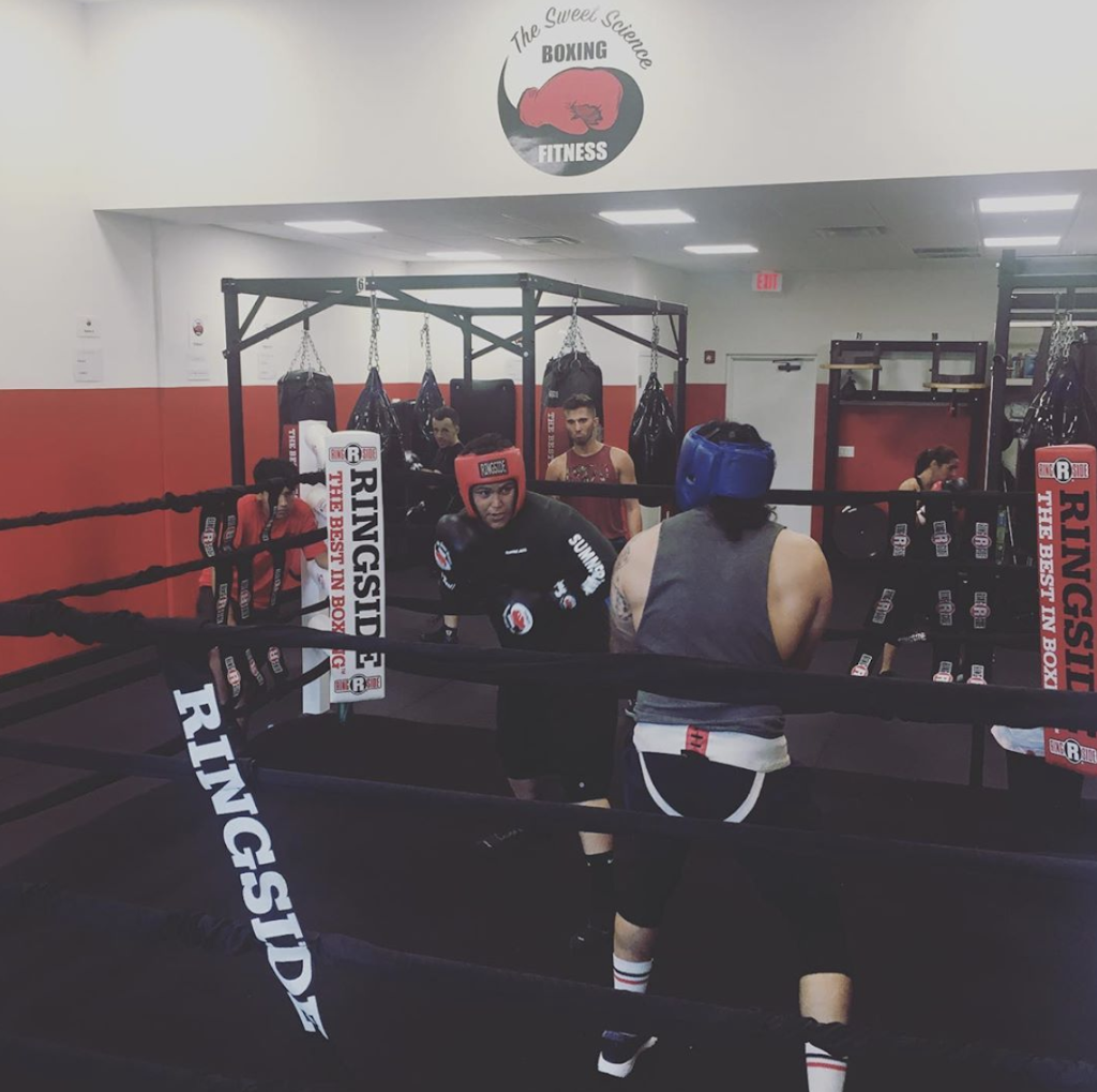  The Sweet Science Boxing Fitness